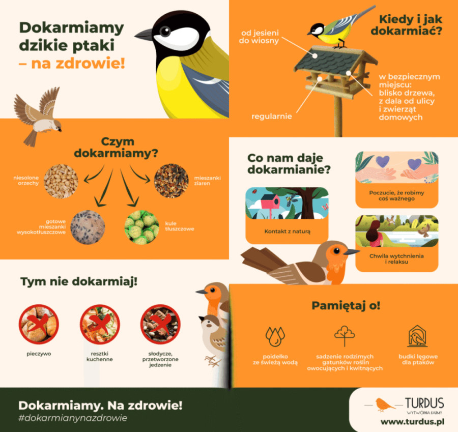 TURDUS-instrukcja-dokarmiania-ptakow