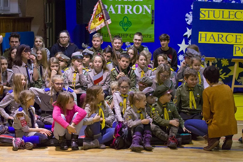 Harcerstwo chełmżyńskie - Zarys dziejów