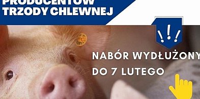 Pomoc z PROW dla hodowców świń: czas na składanie wnios-2790
