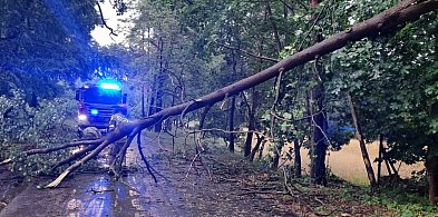 Strażacy wzywani prawie 400 razy po burzach. Trwa akcja na jeziorze w Zalesiu koło-6189