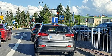 Egzamin na prawo jazdy będzie inny. Od 1 lipca nowe zasady-8757