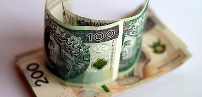 NBP: inflacja bazowa liczona po wyłączeniu cen żywności i energii wyniosła w listo-9831